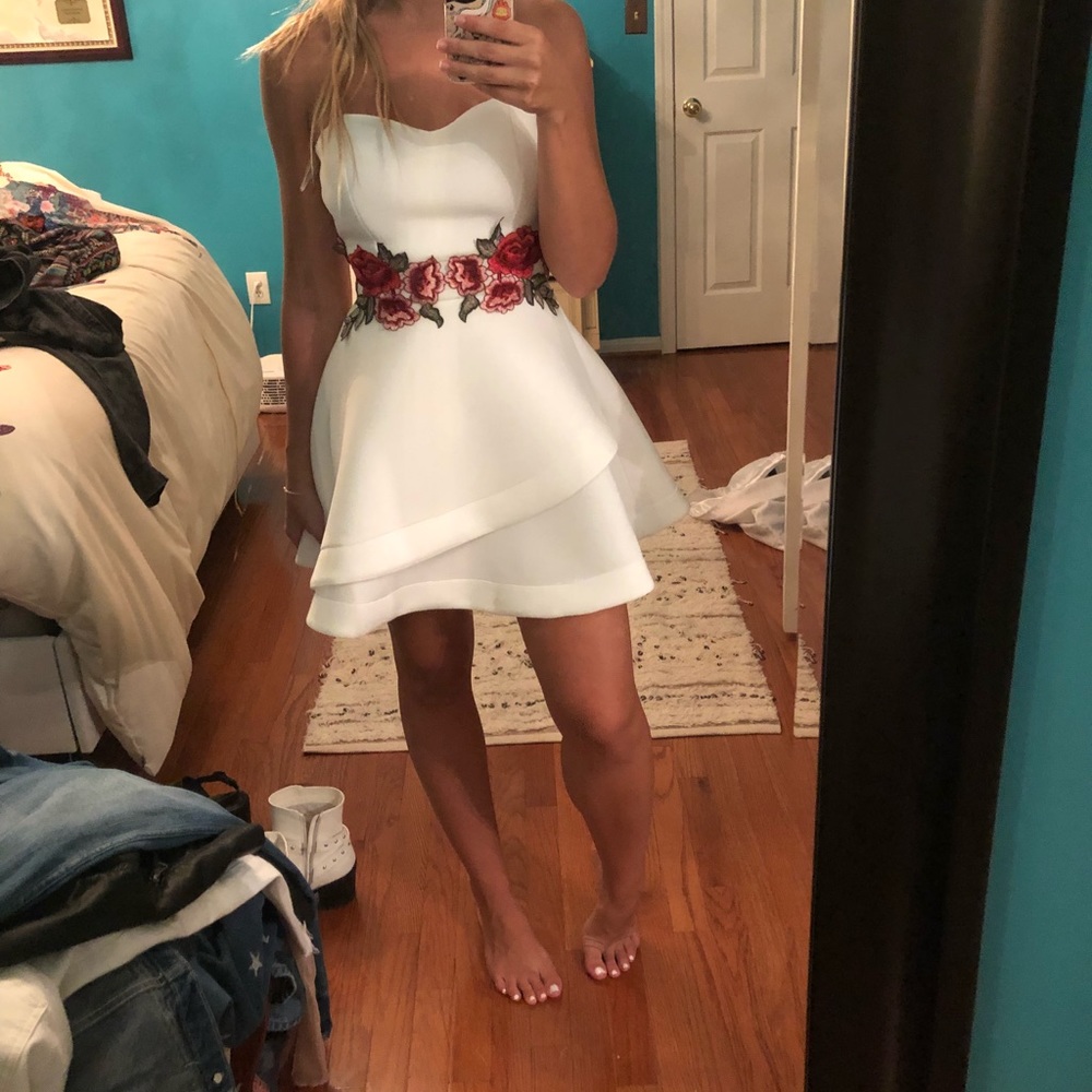 Tobi embroidered mini